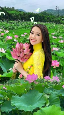 Ghép hoa sen đẹp