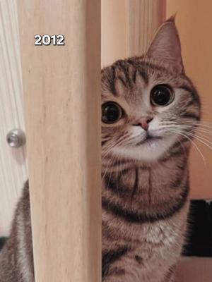 2012 vs 2023