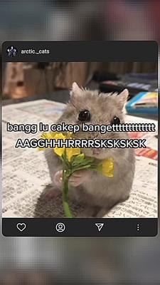 bang luwh cakep bgt