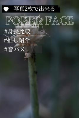 POKER FACE 写真2枚