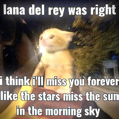 miss you forever.
