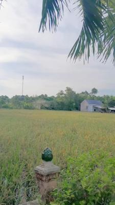 mẫu thái lan 13 ảnh