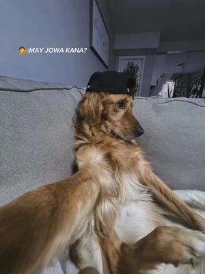 WALA NGA EH!
