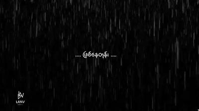 ငါတို့ငှက်တွေလို