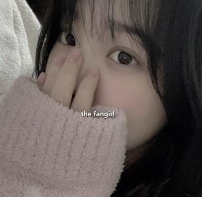 THE FANGIRL THE IDOL