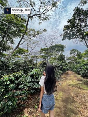 ຝຸ່ນເຂົ້າຕາຊຊ🥲