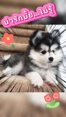 น่ารัก
