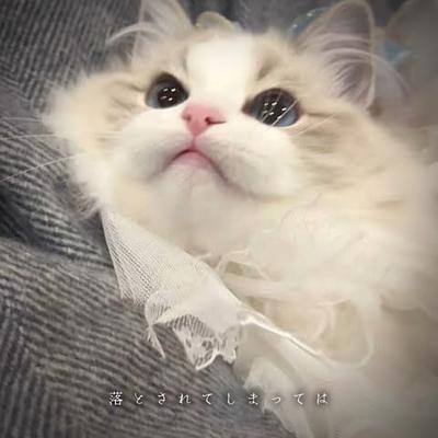 かっこいい編集ღ