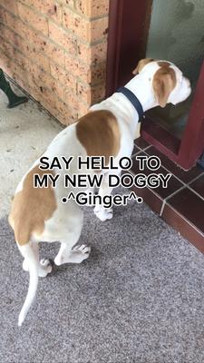 HER NAME IS GINGER