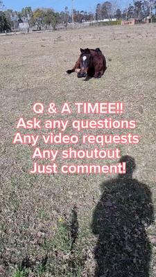 Ask me anything 