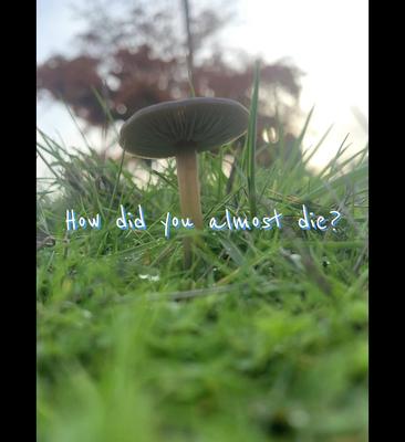 Story at 100 likes