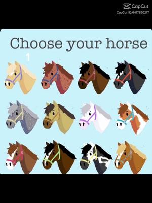 choose your horse 