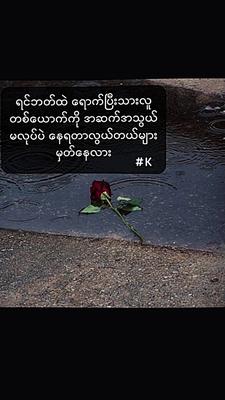 လွယ်တယ်များ