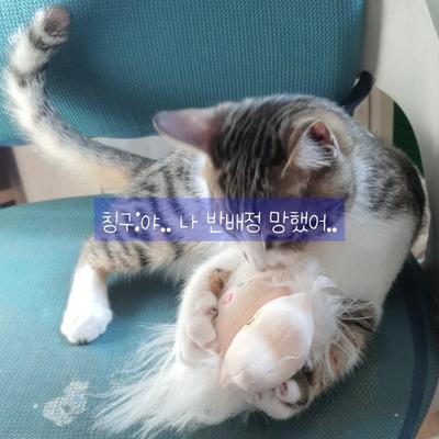 친구 놀리기