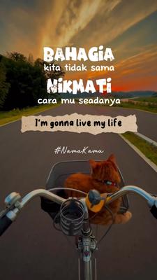 I'm gonna live