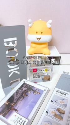 다이소 깡(관상용이면 내릴께요)