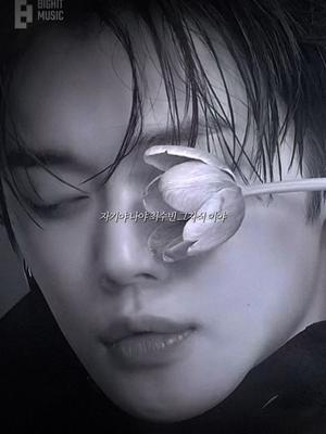 누구를 선택 하시겠습니까..?