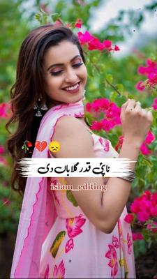 نا پئی قدر گلاباں دی