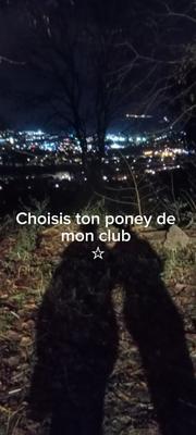 Choisis ton poney