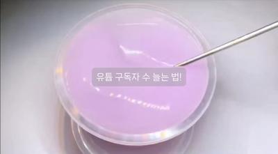 유튭 구독자 수 늘는 법