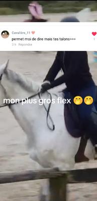 mon mllr flex>>>