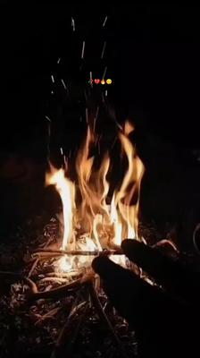 janiya bewafa hai tu