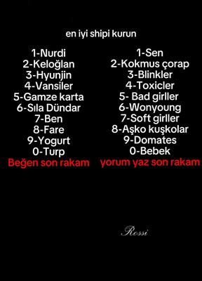 En iyi shipi kur