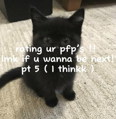 rating ur pfp’s!!
