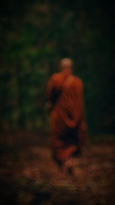 သံသရာခရီးသွား