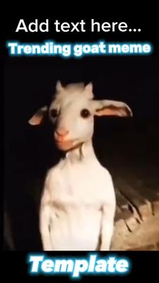 Trending goat meme