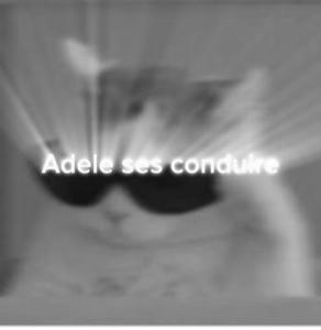 Adele ses conduire 