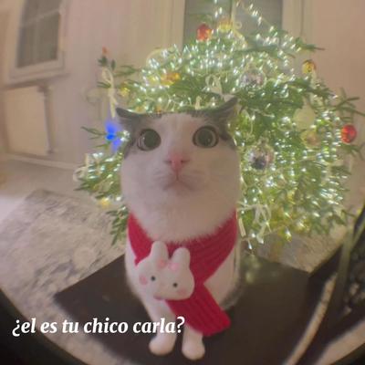 ¿el es tu chico?