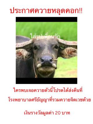 ใ่เเกล้งเพื่อนได้
