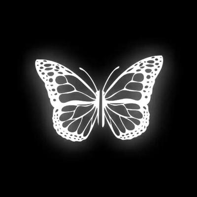 butterfly name templ