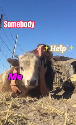 How did I manage