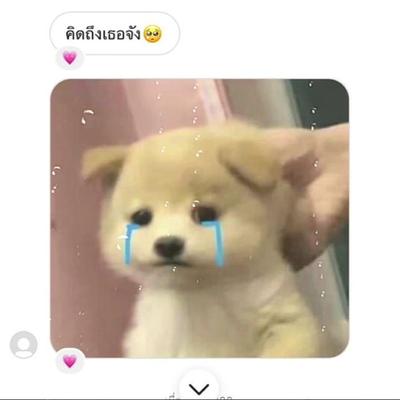 รักเธอ