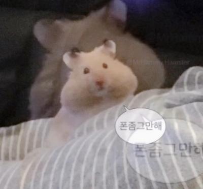 소아니 합작!!먼가 망하거같은데..!