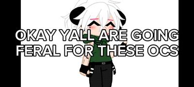YALL ARE FERAL