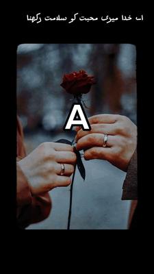 Pal bher tumhy
