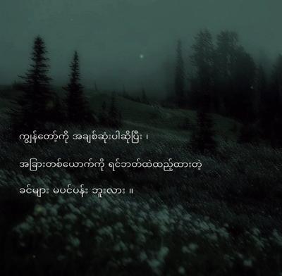 ယူသုံးလို့ရပါတယ်ဗျ