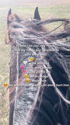 Just comment 🤩