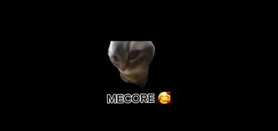 SORRY I DONT SIMP 