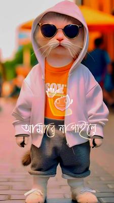 কথা দাও জান