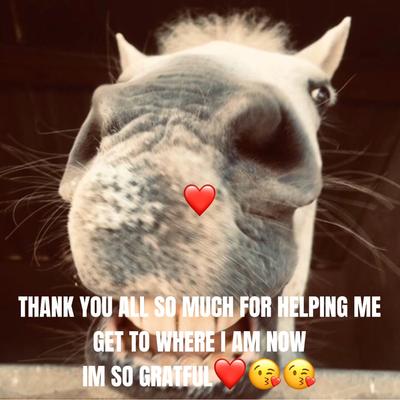 TYSM!!! ILY ALL❤️