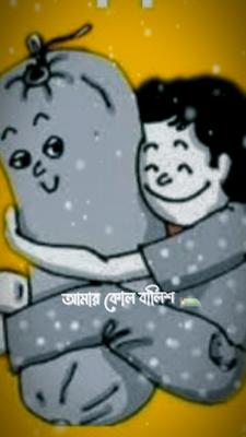 আমার কোল বালিশ