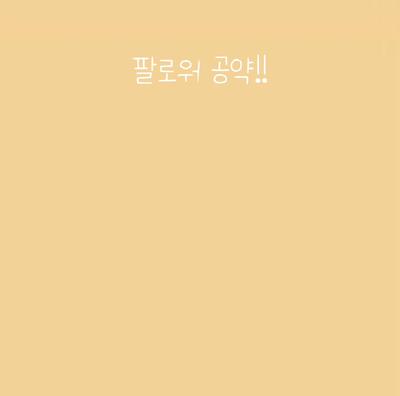 팔로워 공약