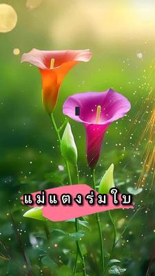 เพลงสนุก แม่แตงร่มใบ