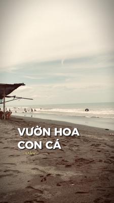 2 Ảnh Nhẹ Nhàng 