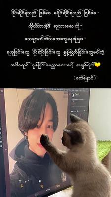 သဲငယ်