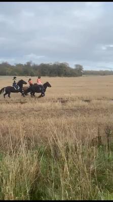 STUBBLE GALLOPS 💗💗💗